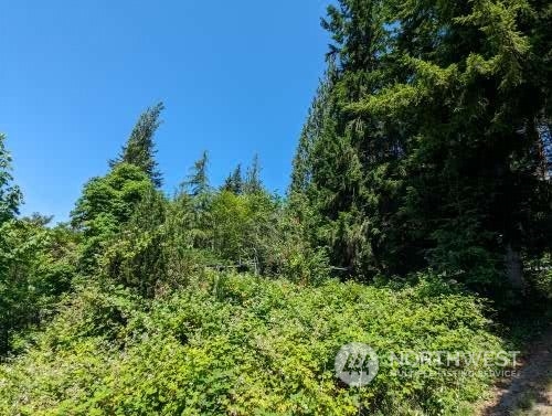 8433 Grandview Road Arlington, WA 98223 - Photo 8 of 16 Gallery Image 8