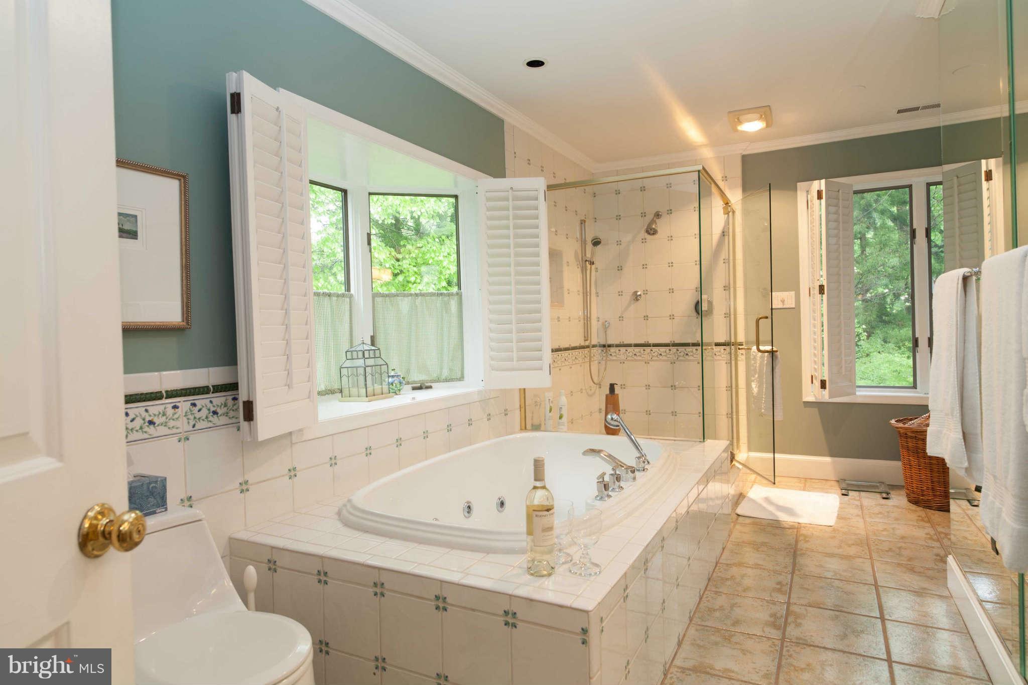 5803 Bent Twig Road McLean, VA 22101 - Photo 22 of 30 Bath (Master)
