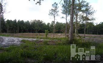 0 Livingston Chapel Road Delco, NC 28436 - Photo 2 of 6 Additional Photo