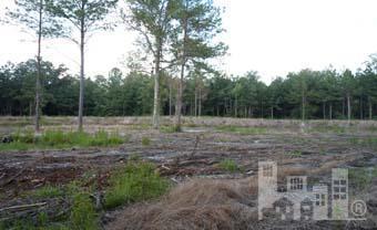 0 Livingston Chapel Road Delco, NC 28436 - Photo 3 of 6 Additional Photo