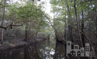 0 Livingston Chapel Road Delco, NC 28436 - Photo 4 of 6 Additional Photo