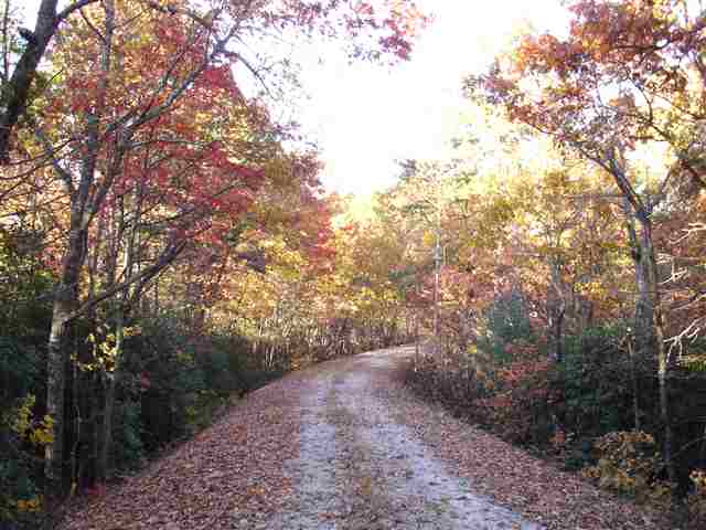 75-acres Charlie Cobb Road Long Creek, SC 29658 - Photo 1 of 25 Gallery Image 1