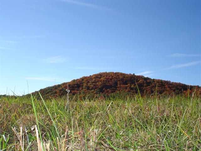75-acres Charlie Cobb Road Long Creek, SC 29658 - Photo 13 of 25 Gallery Image 13