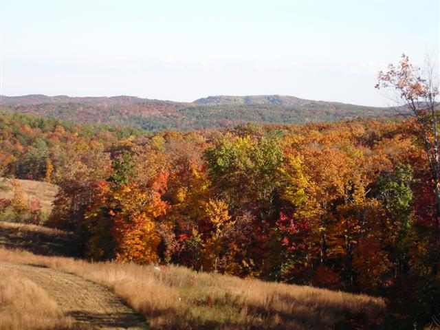 75-acres Charlie Cobb Road Long Creek, SC 29658 - Photo 17 of 25 Gallery Image 17