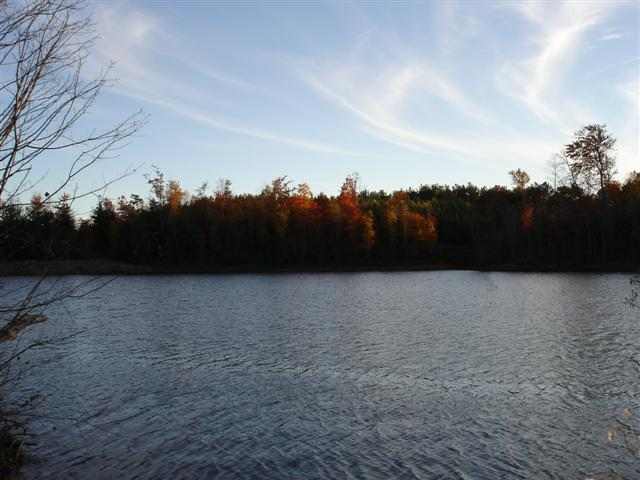 75-acres Charlie Cobb Road Long Creek, SC 29658 - Photo 19 of 25 Gallery Image 19