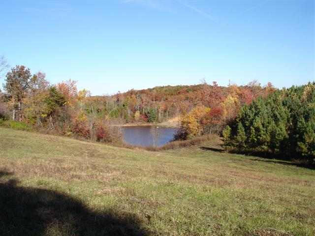 75-acres Charlie Cobb Road Long Creek, SC 29658 - Photo 20 of 25 Gallery Image 20