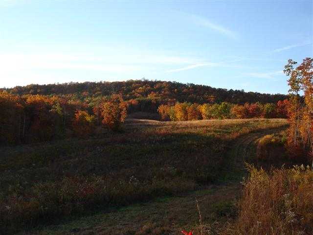 75-acres Charlie Cobb Road Long Creek, SC 29658 - Photo 23 of 25 Gallery Image 23