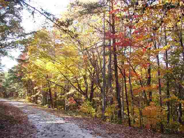 75-acres Charlie Cobb Road Long Creek, SC 29658 - Photo 24 of 25 Gallery Image 24