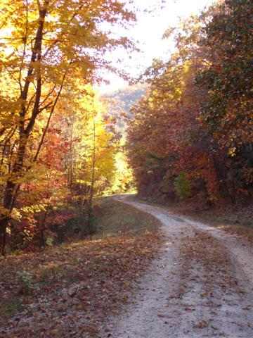 75-acres Charlie Cobb Road Long Creek, SC 29658 - Photo 25 of 25 Gallery Image 25