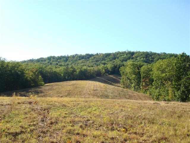 75-acres Charlie Cobb Road Long Creek, SC 29658 - Photo 3 of 25 Gallery Image 3