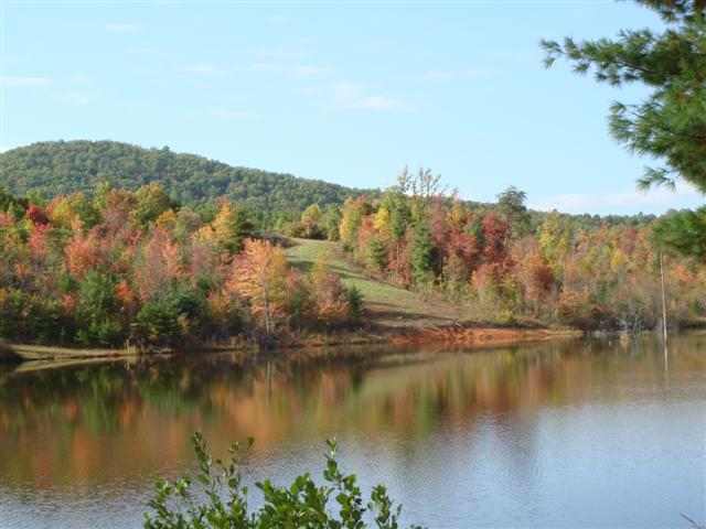 75-acres Charlie Cobb Road Long Creek, SC 29658 - Photo 4 of 25 Gallery Image 4