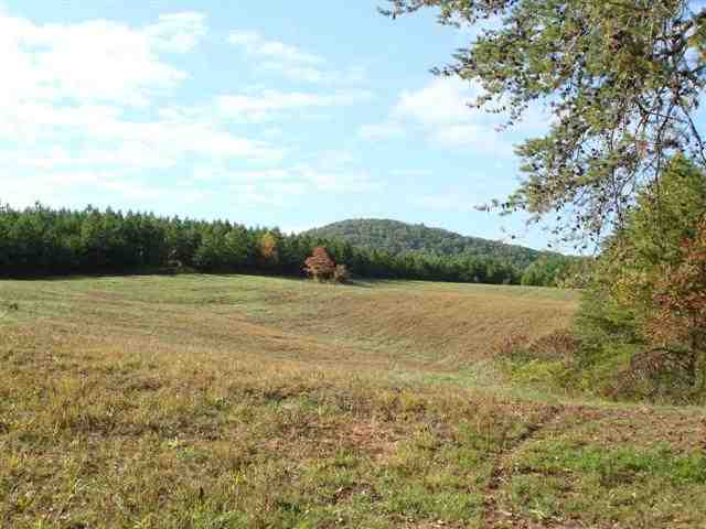 75-acres Charlie Cobb Road Long Creek, SC 29658 - Photo 5 of 25 Gallery Image 5