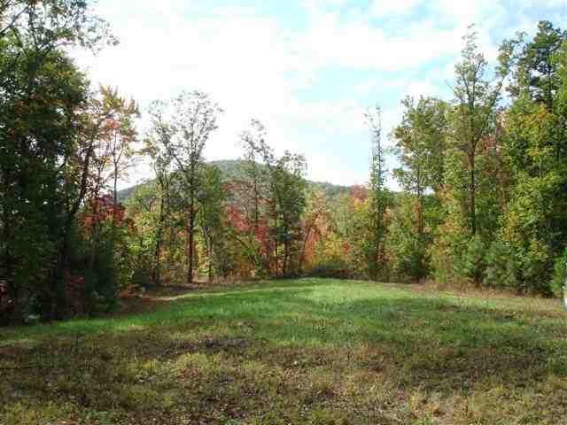 75-acres Charlie Cobb Road Long Creek, SC 29658 - Photo 9 of 25 Gallery Image 9