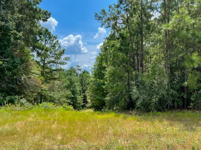 a view of a yard with swimming pool