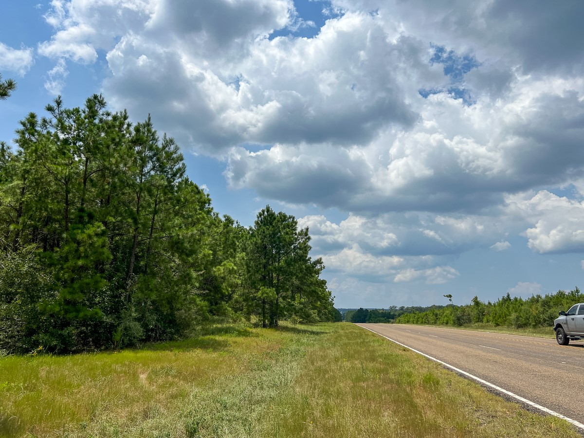 6 Rec Road 255 Wiergate, TX 75977 - Photo 3 of 9 a view of a big yard with lots of green space
