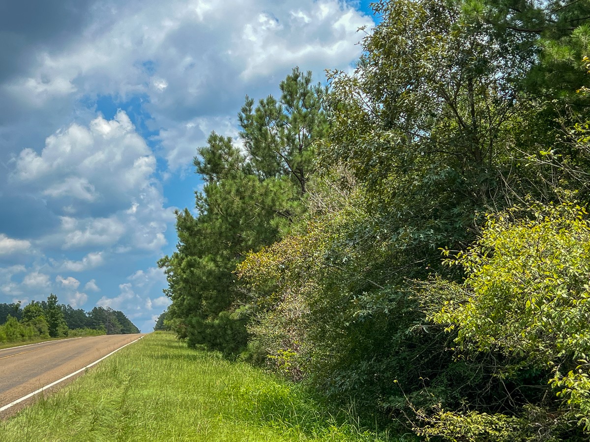 6 Rec Road 255 Wiergate, TX 75977 - Photo 5 of 9 a view of a field of grass and trees