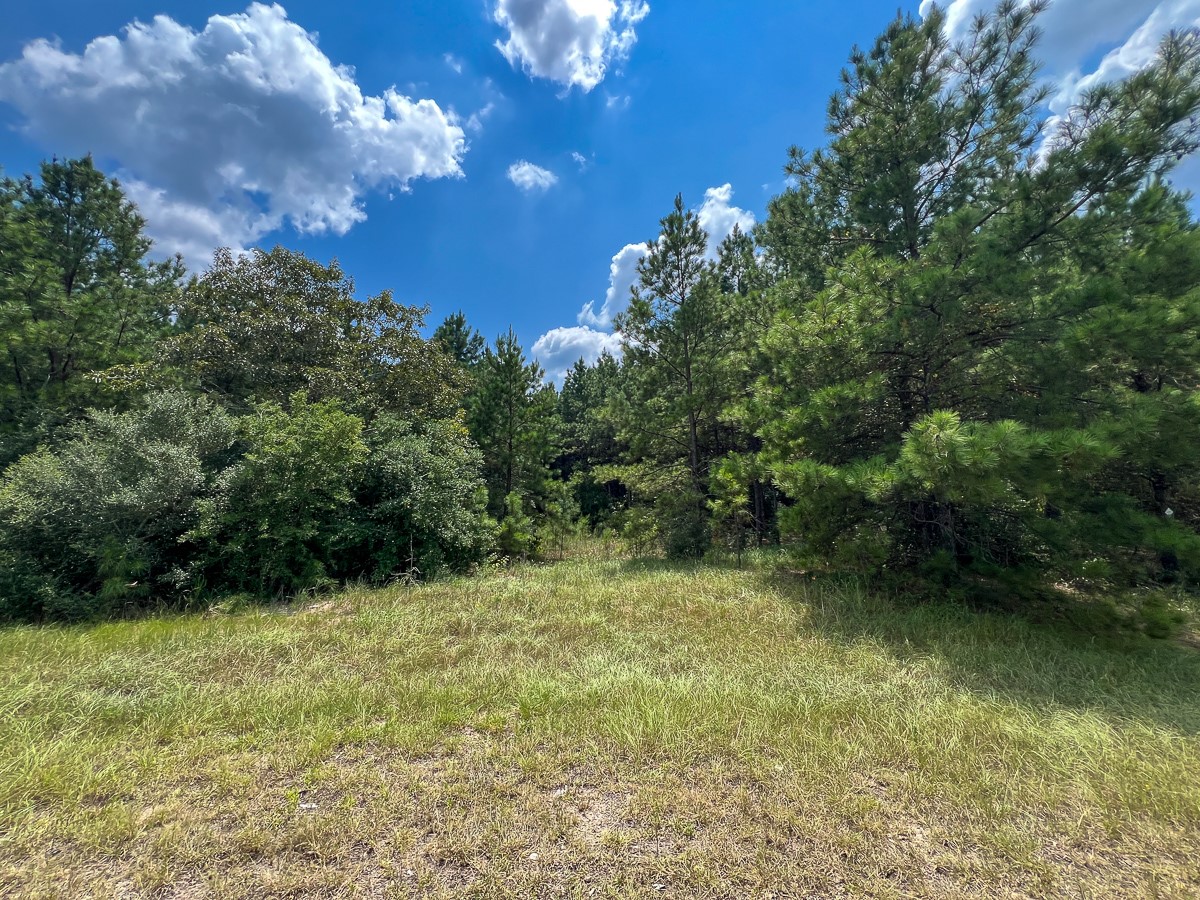 6 Rec Road 255 Wiergate, TX 75977 - Photo 9 of 9 a view of a garden