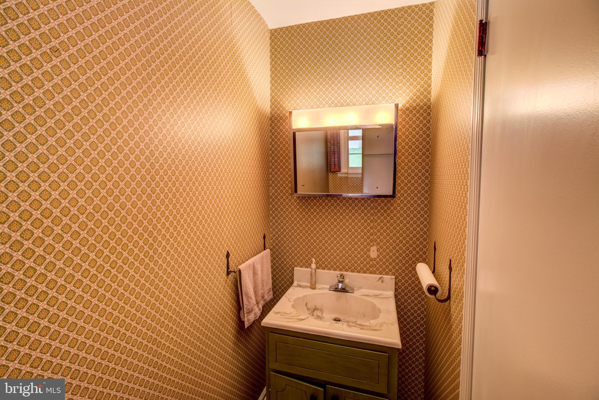 111 Palmer Road Pennington, NJ 08534 - Photo 34 of 35 powder room