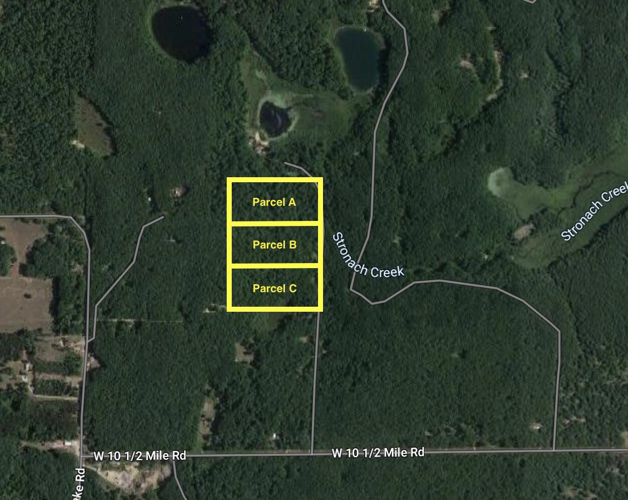Parcel C North Mac Road Irons, MI 49644 - Photo 11 of 11 Far Aerial mac Rd