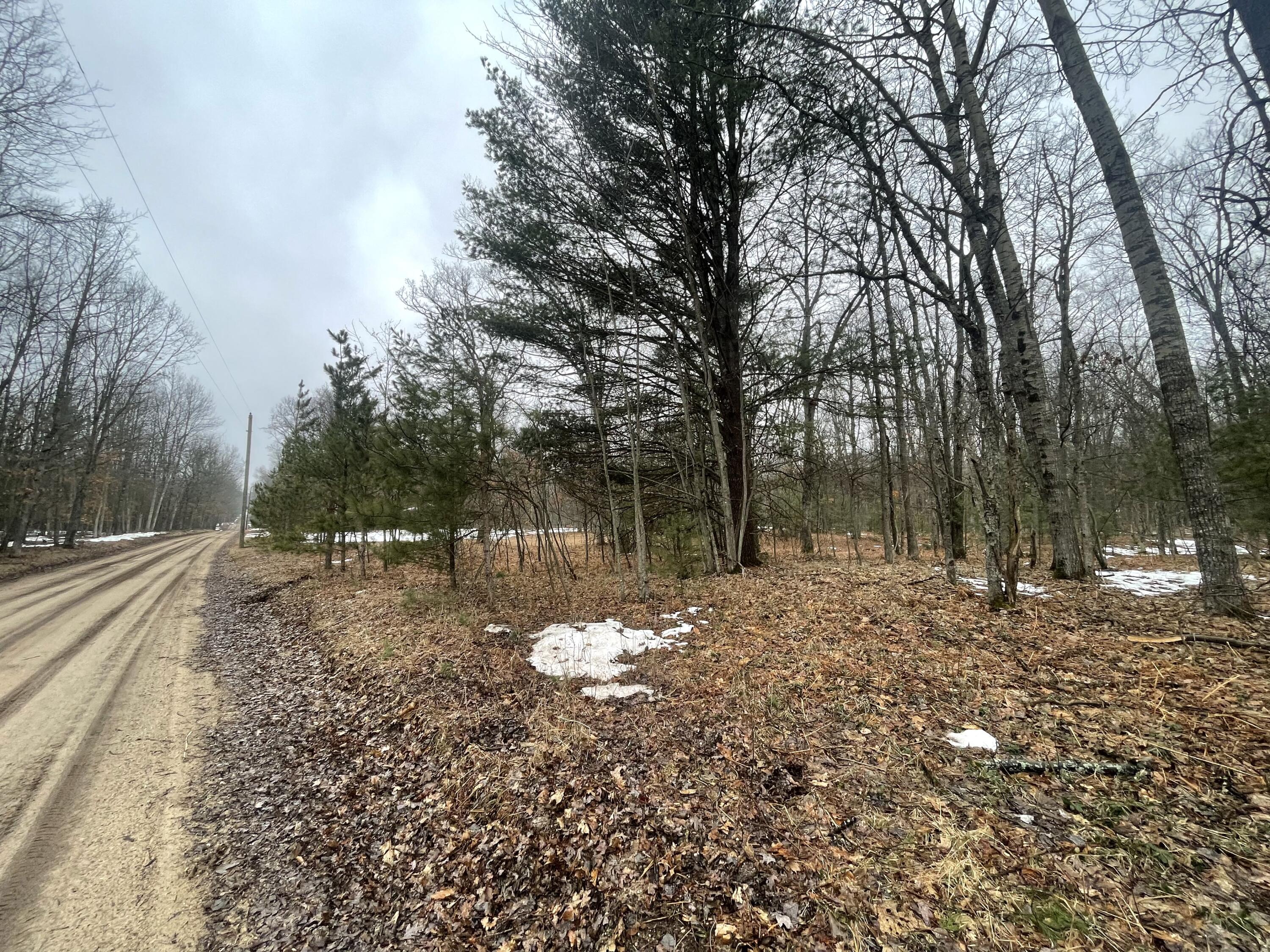 Parcel C North Mac Road Irons, MI 49644 - Photo 2 of 11 2