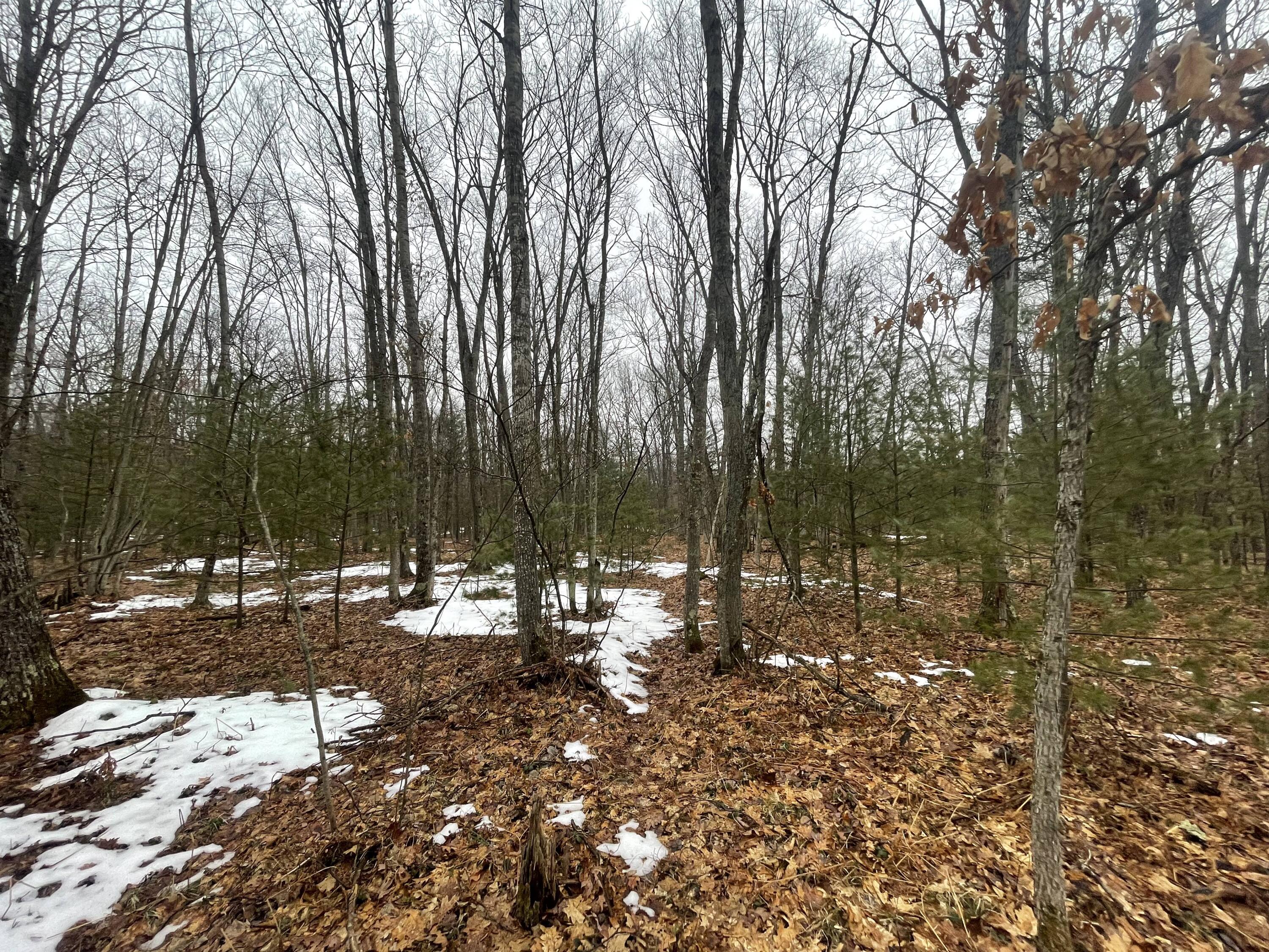 Parcel C North Mac Road Irons, MI 49644 - Photo 3 of 11 3