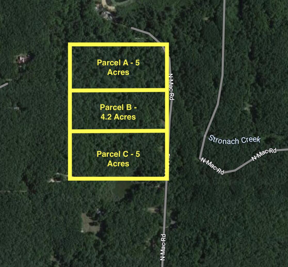 Parcel C North Mac Road Irons, MI 49644 - Photo 10 of 11 Aerial Mac Rd