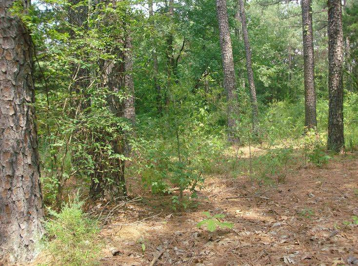 1012 Poplar Springs Road Florence, MS 39073 - Photo 1 of 1 Photo 1