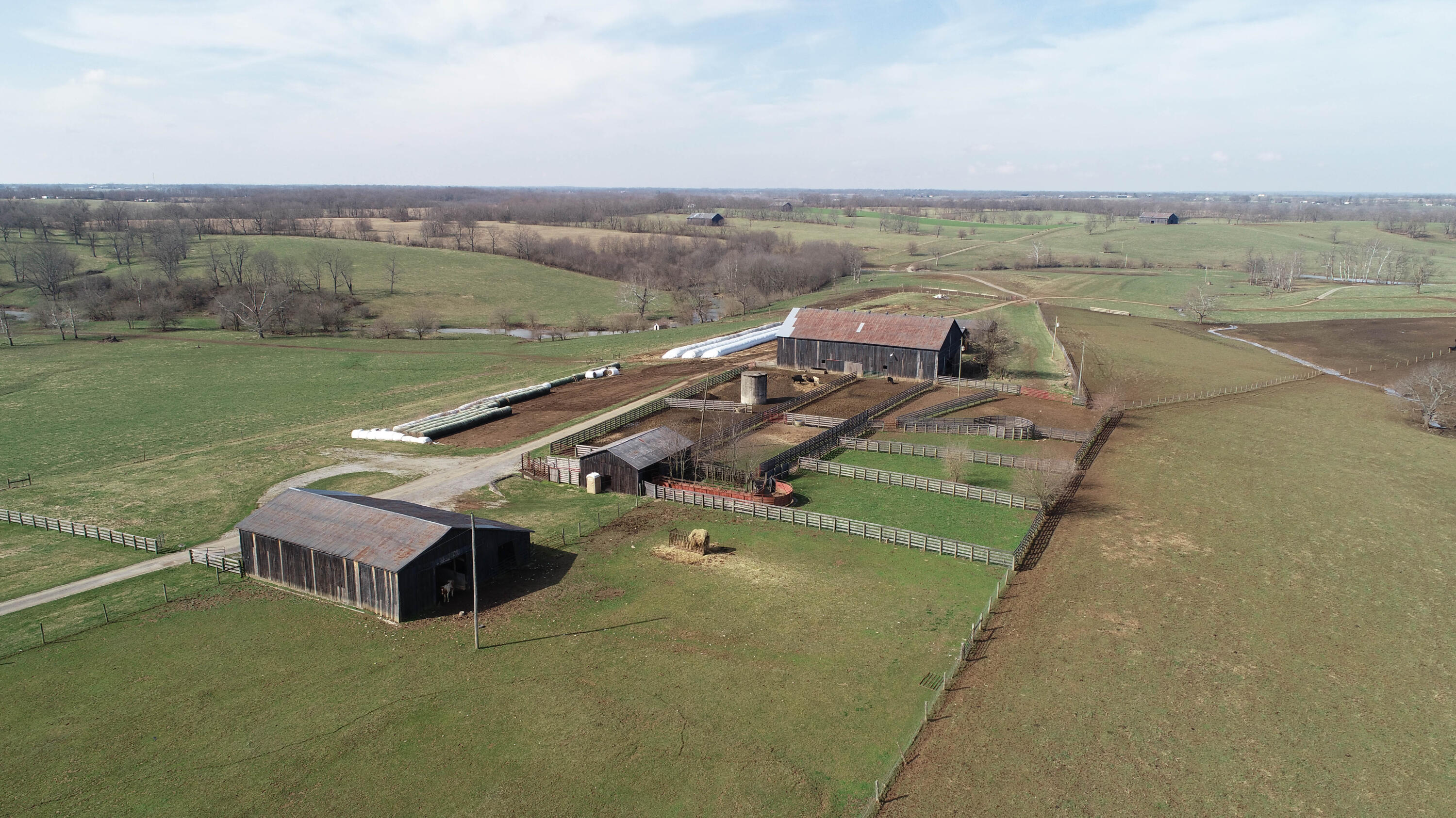 1211 Ruddles Mill Road Paris, KY 40361 - Photo 10 of 17 DJI_0355