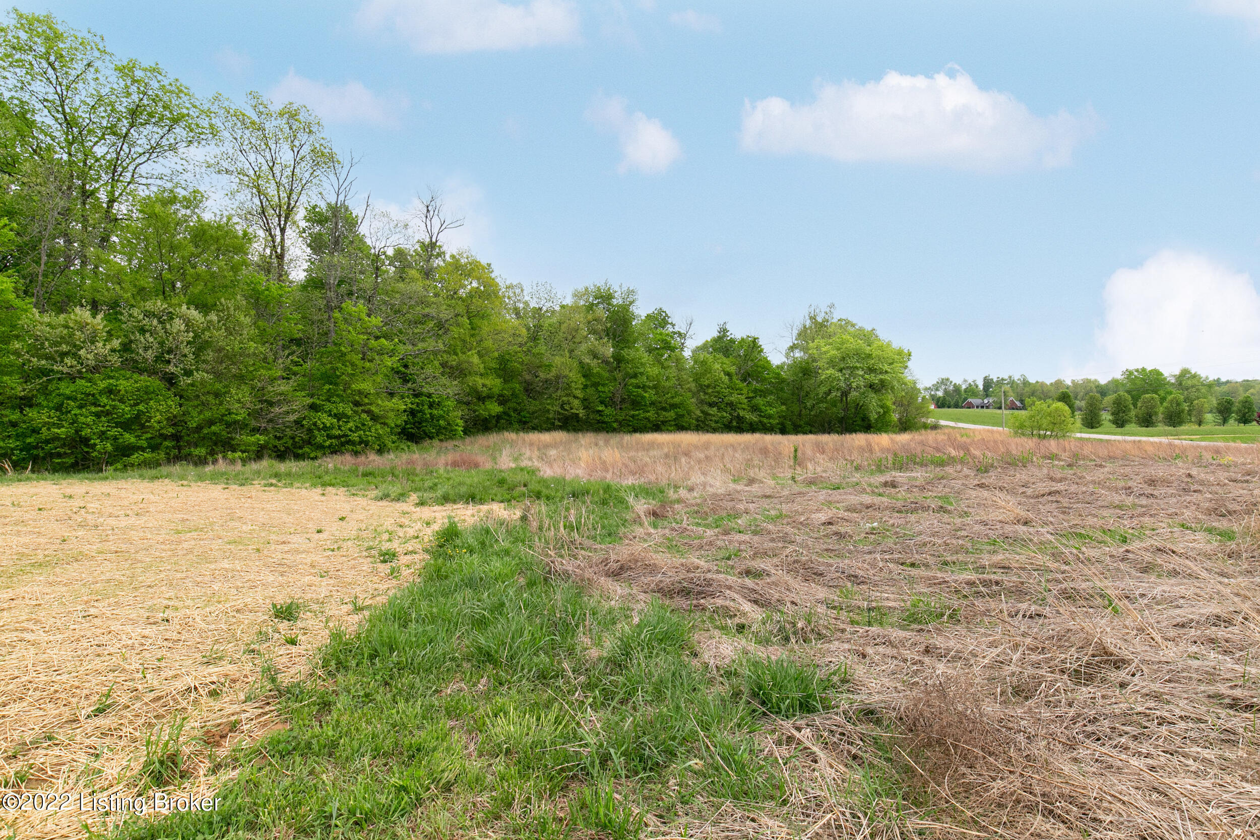 9645 Rhodelia Road Payneville, KY 40157 - Photo 47 of 50 RBWP9392