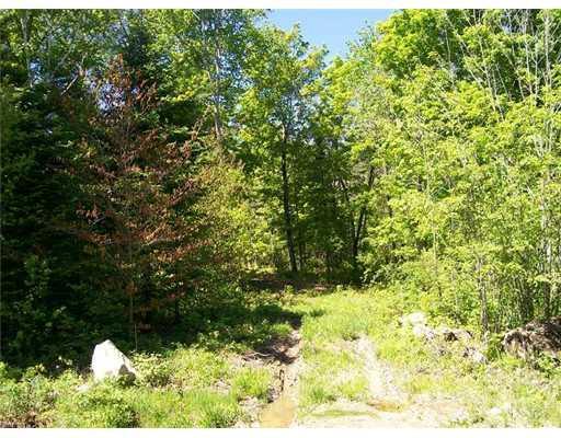 10 Mayhew Road Starks, ME 04911 - Photo 1 of 4 Land.