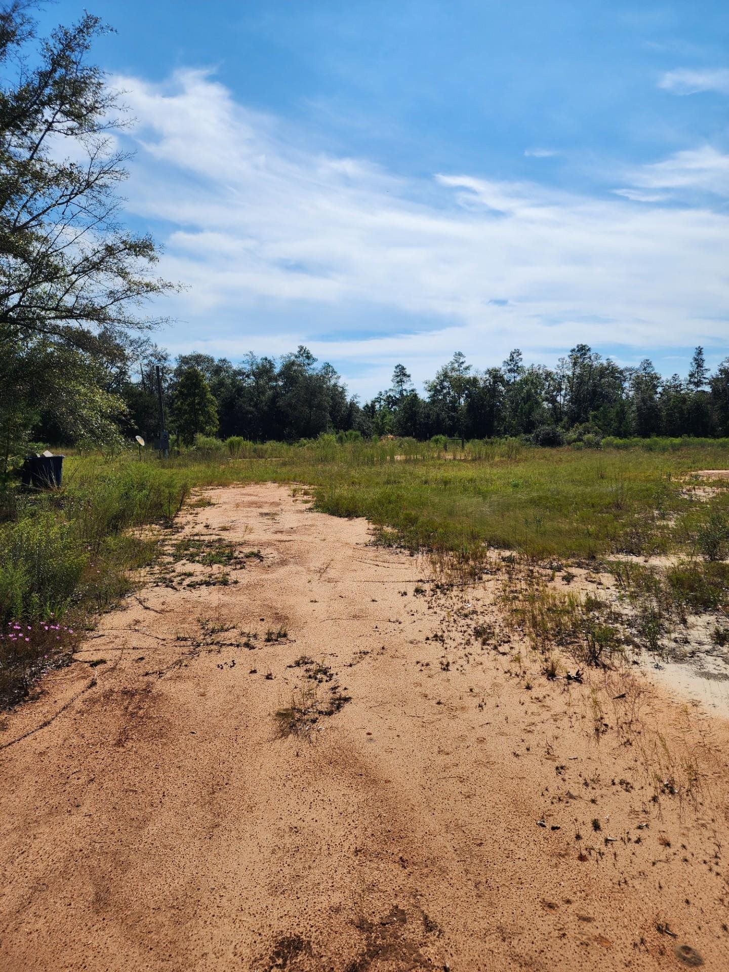 13394 O'Dell Owens Road Bristol, FL 32321 - Photo 3 of 6 Gallery Image 3