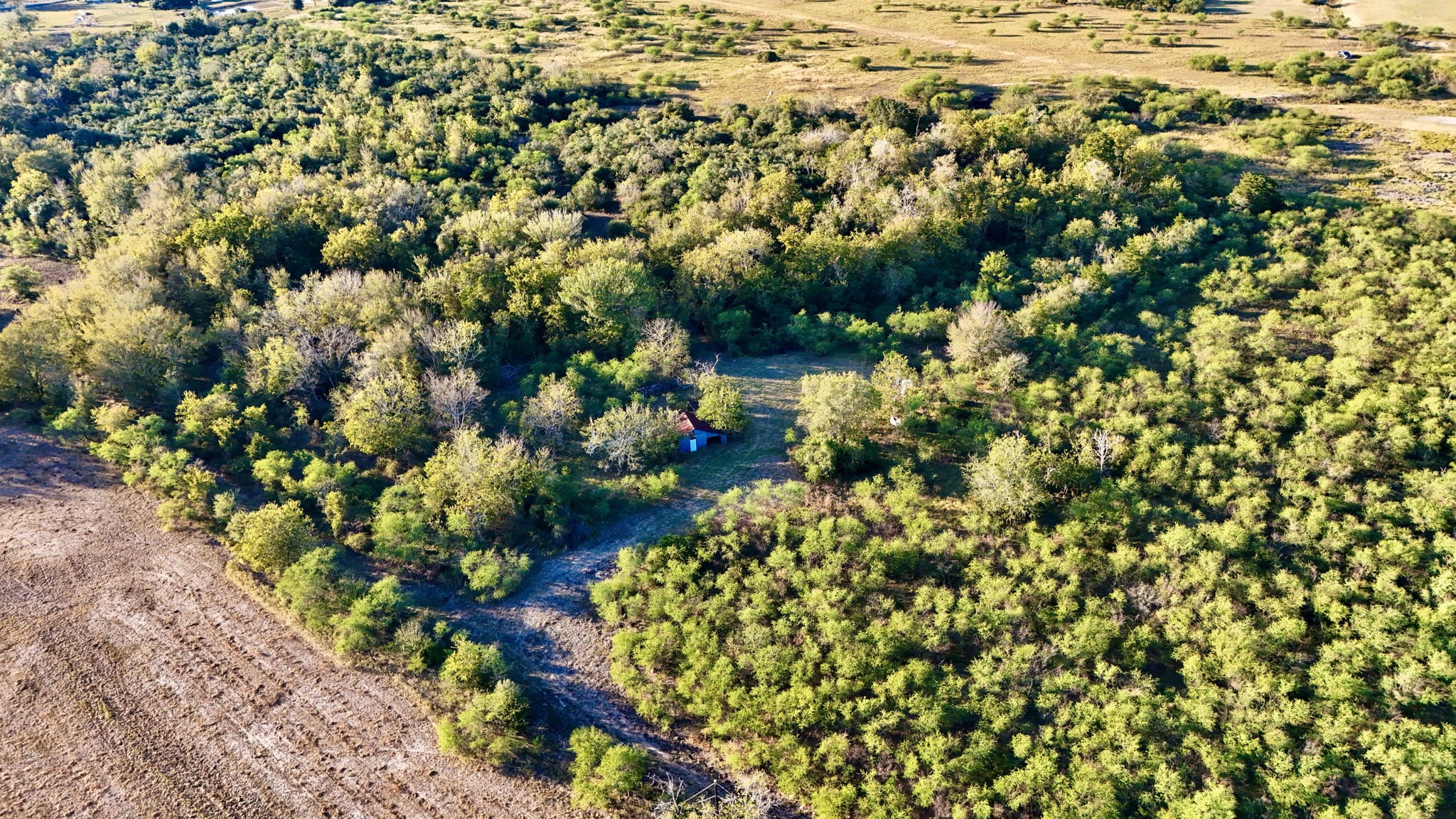 0 Pilcik Road East Bernard, TX 77435 - Photo 3 of 10 a view of a garden