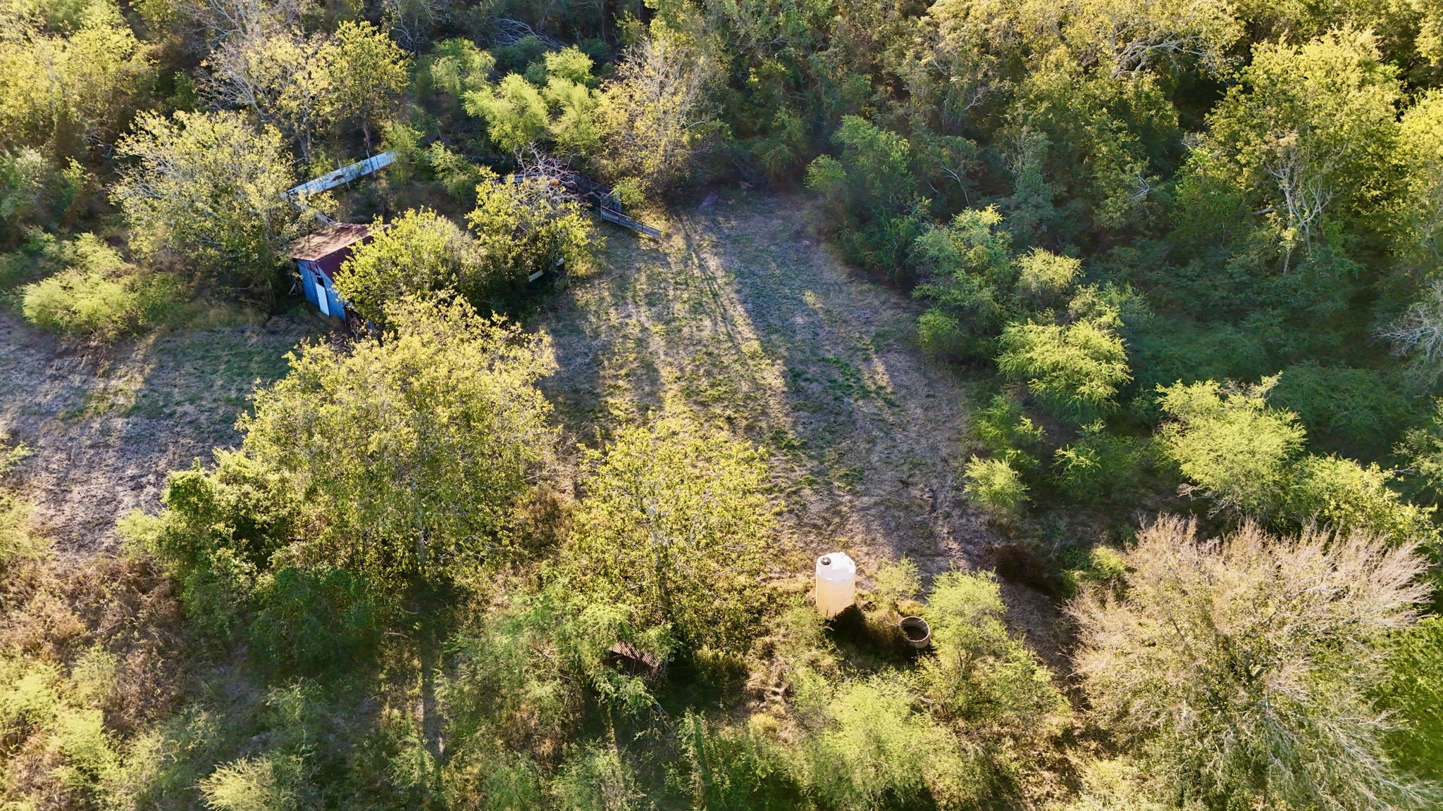 0 Pilcik Road East Bernard, TX 77435 - Photo 5 of 10 a picture of flowers