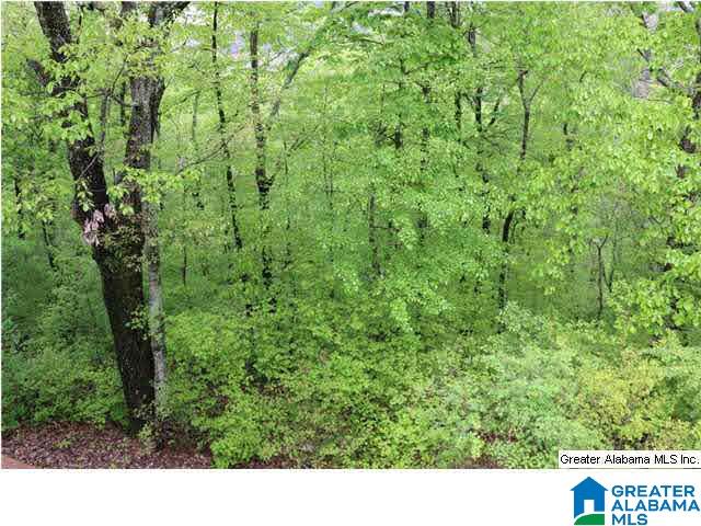 1336 Forest Ridge Court Birmingham, AL 35226 - Photo 24 of 32