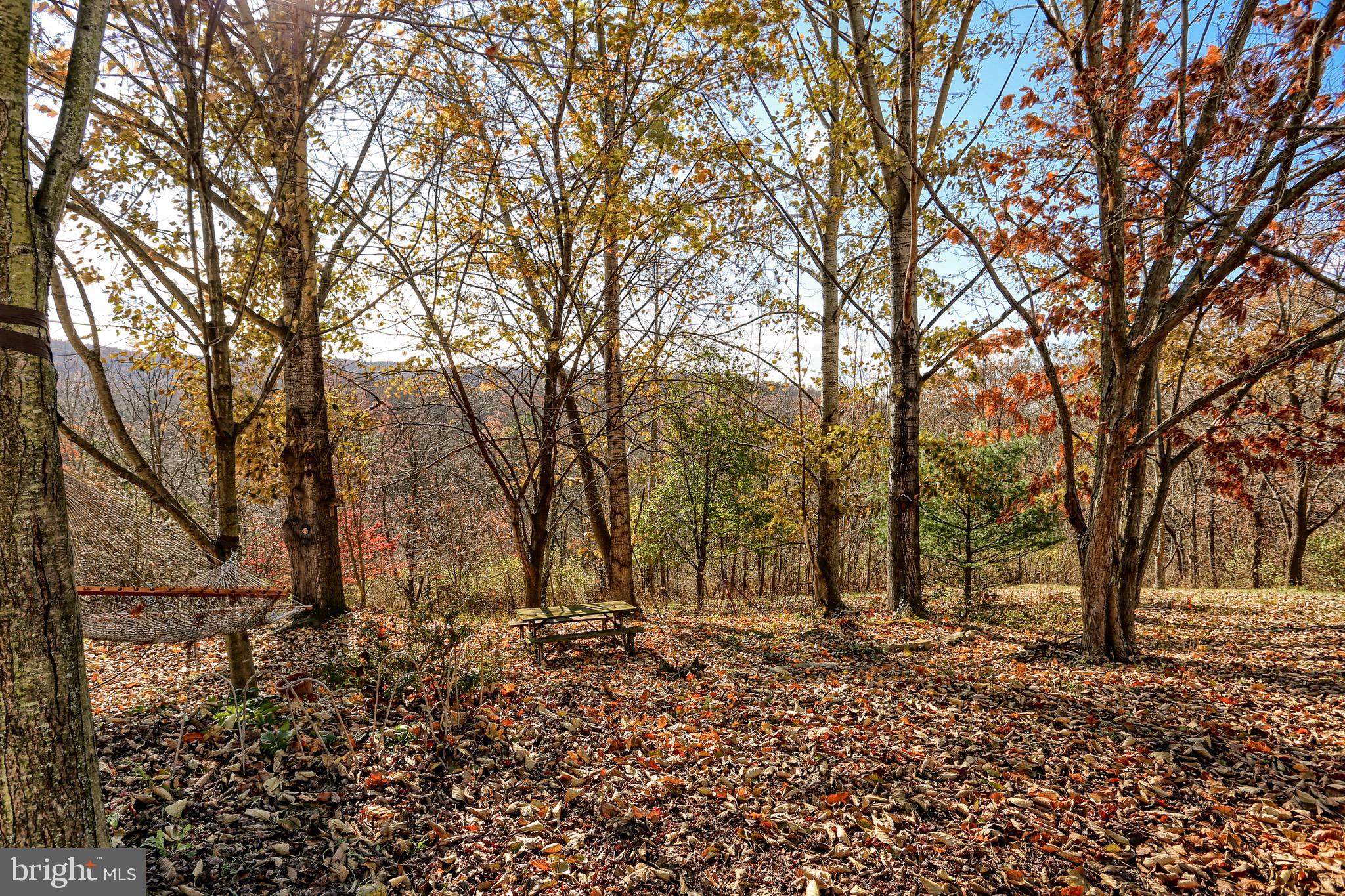 363 Meadow Grove Road Newport, PA 17074 - Photo 29 of 32 Gallery Image 29