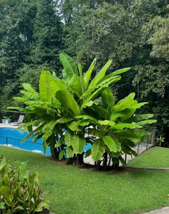 1075 Johnson Brady Road Canton, GA 30115 - Photo 10 of 33