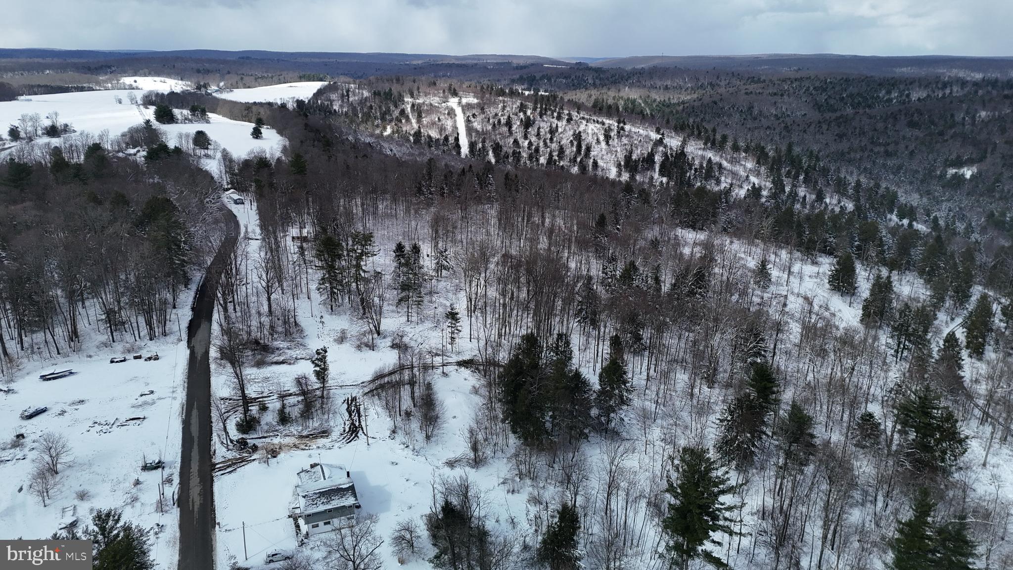 0 Morrison Hill Road Tidioute, PA 16351 - Photo 13 of 28