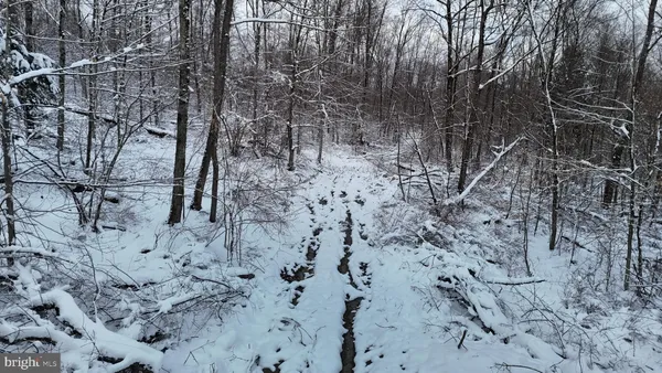a view of a covered with snow in the background