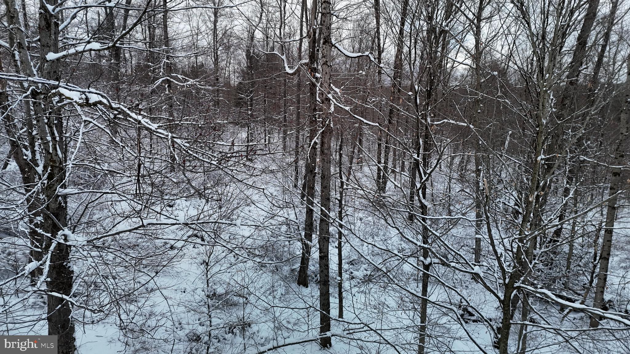 0 Morrison Hill Road Tidioute, PA 16351 - Photo 20 of 28