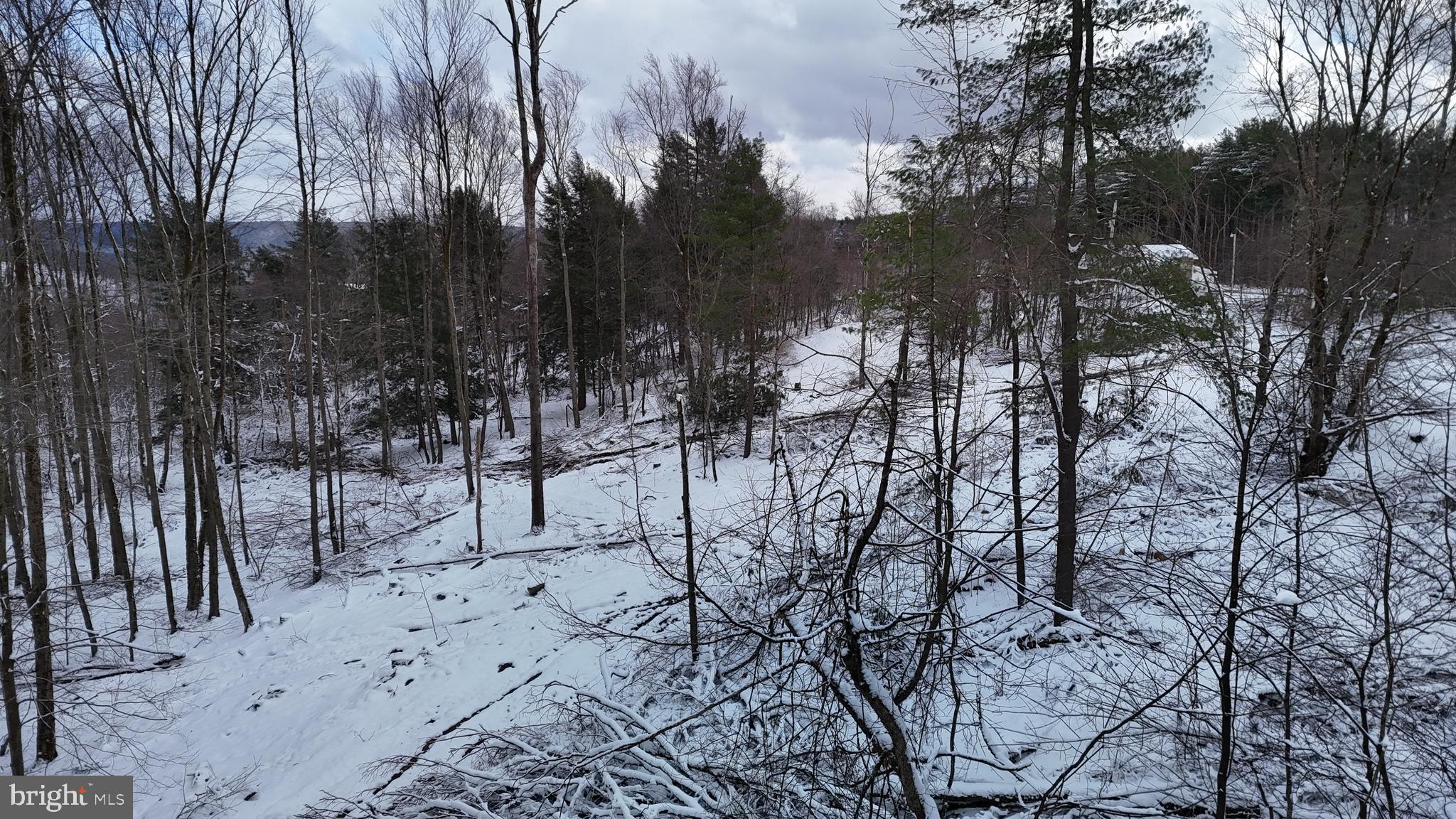 0 Morrison Hill Road Tidioute, PA 16351 - Photo 21 of 28