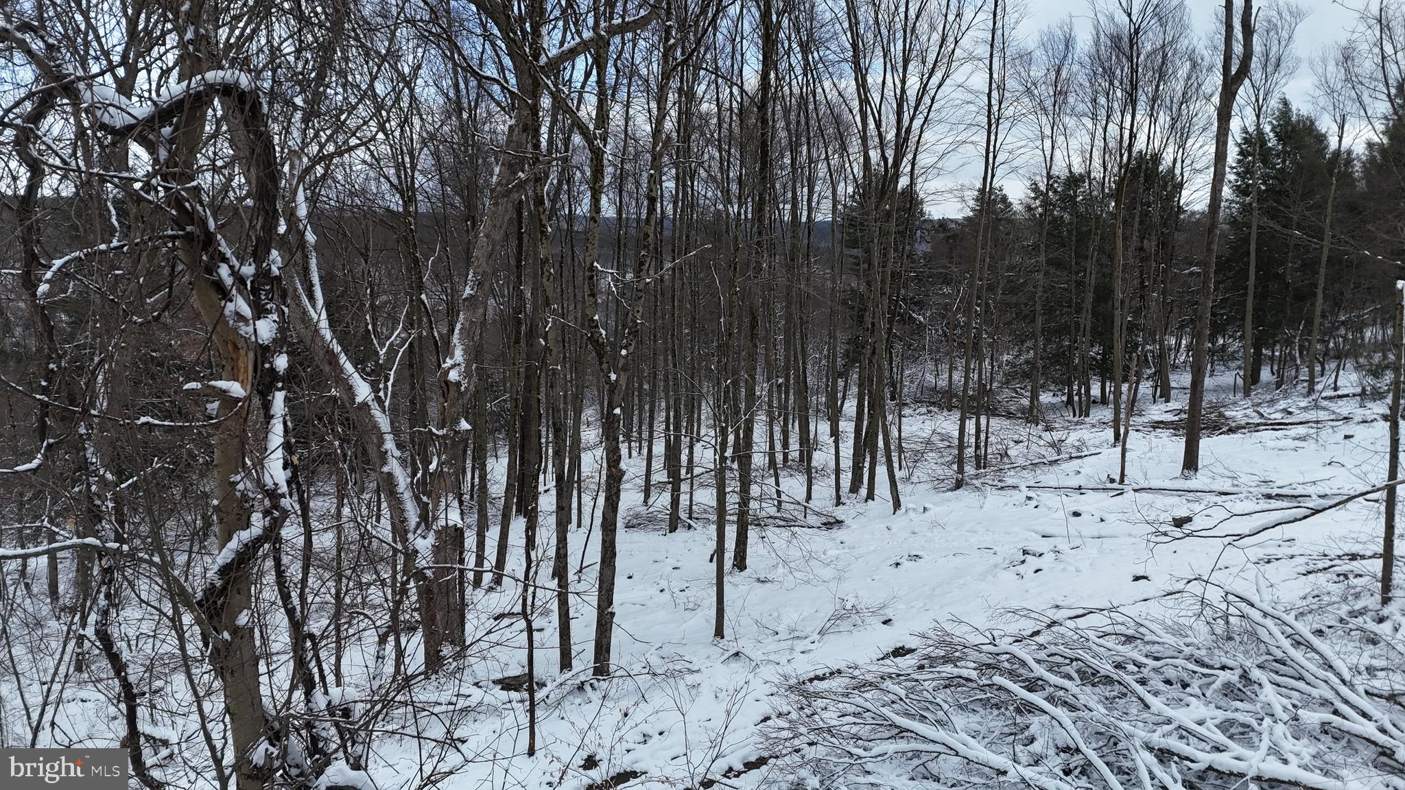 0 Morrison Hill Road Tidioute, PA 16351 - Photo 22 of 28