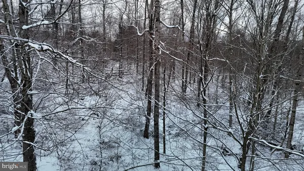 a view of a yard covered with snow in the forest