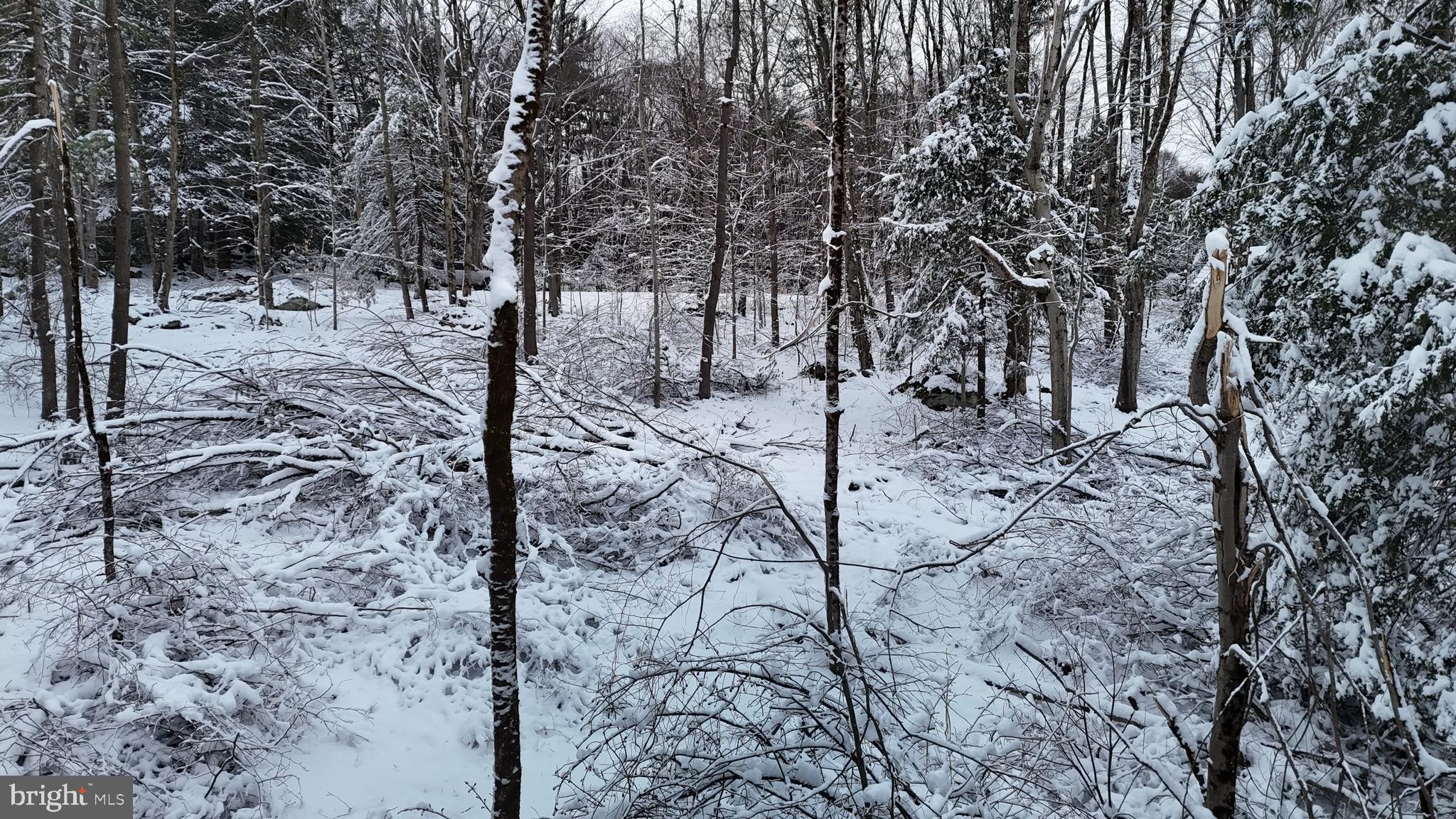 0 Morrison Hill Road Tidioute, PA 16351 - Photo 23 of 28