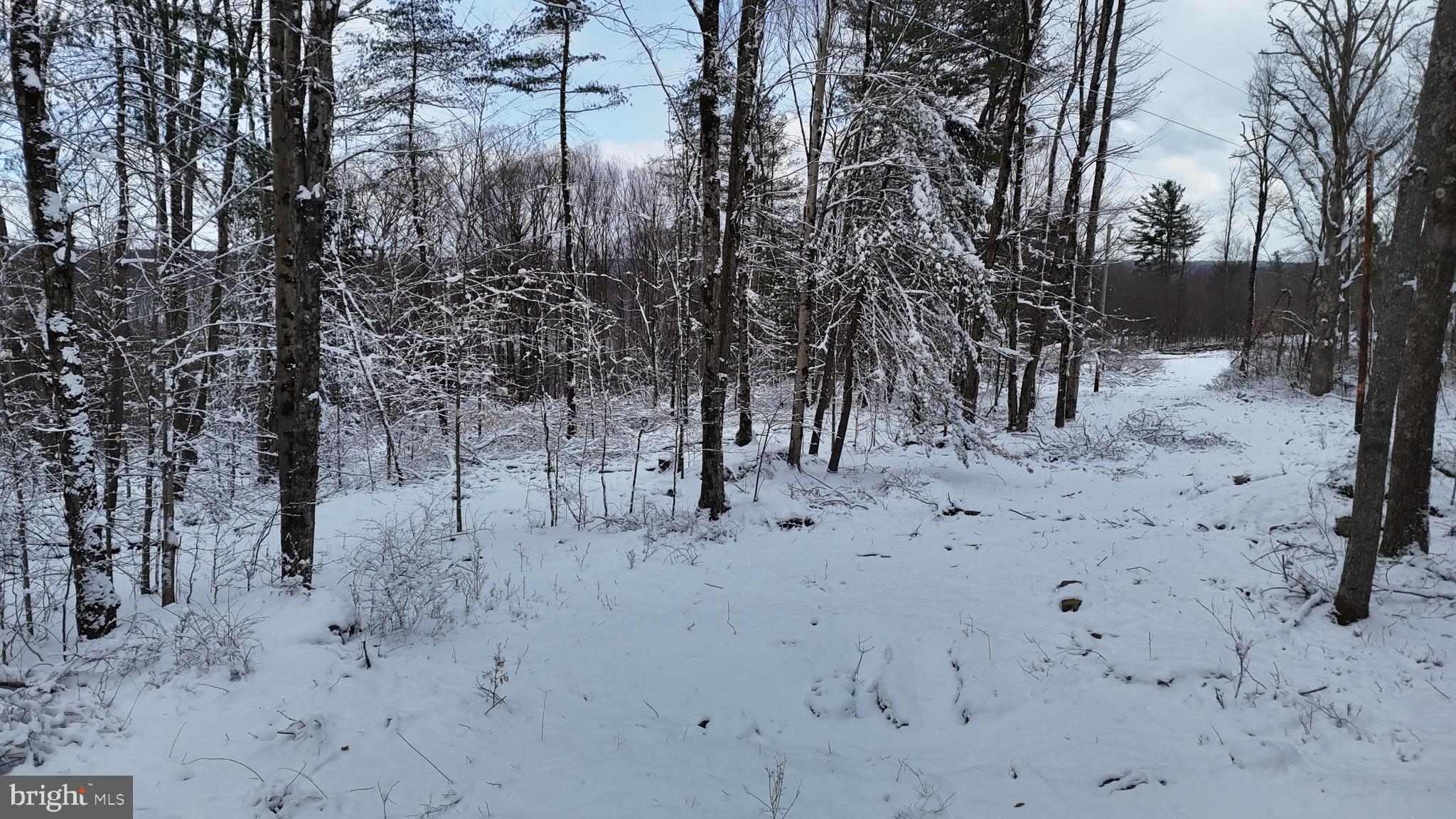 0 Morrison Hill Road Tidioute, PA 16351 - Photo 24 of 28