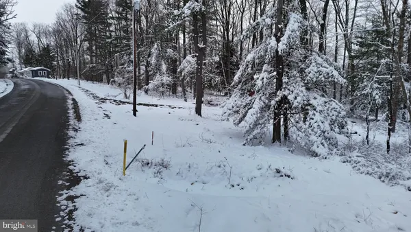 a view of outdoor space with trees