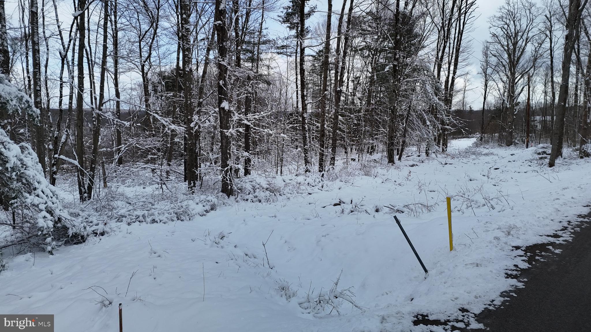 0 Morrison Hill Road Tidioute, PA 16351 - Photo 26 of 28