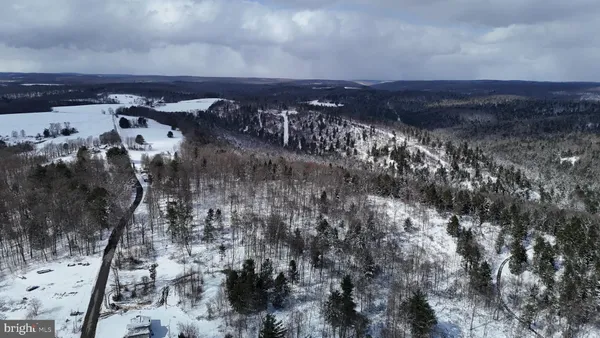 a view of a lot of trees
