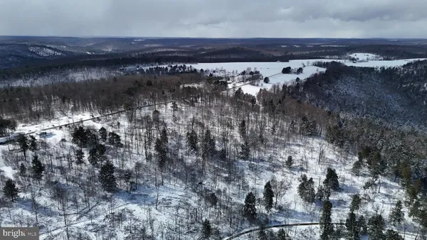 a view of a lake in middle of forest