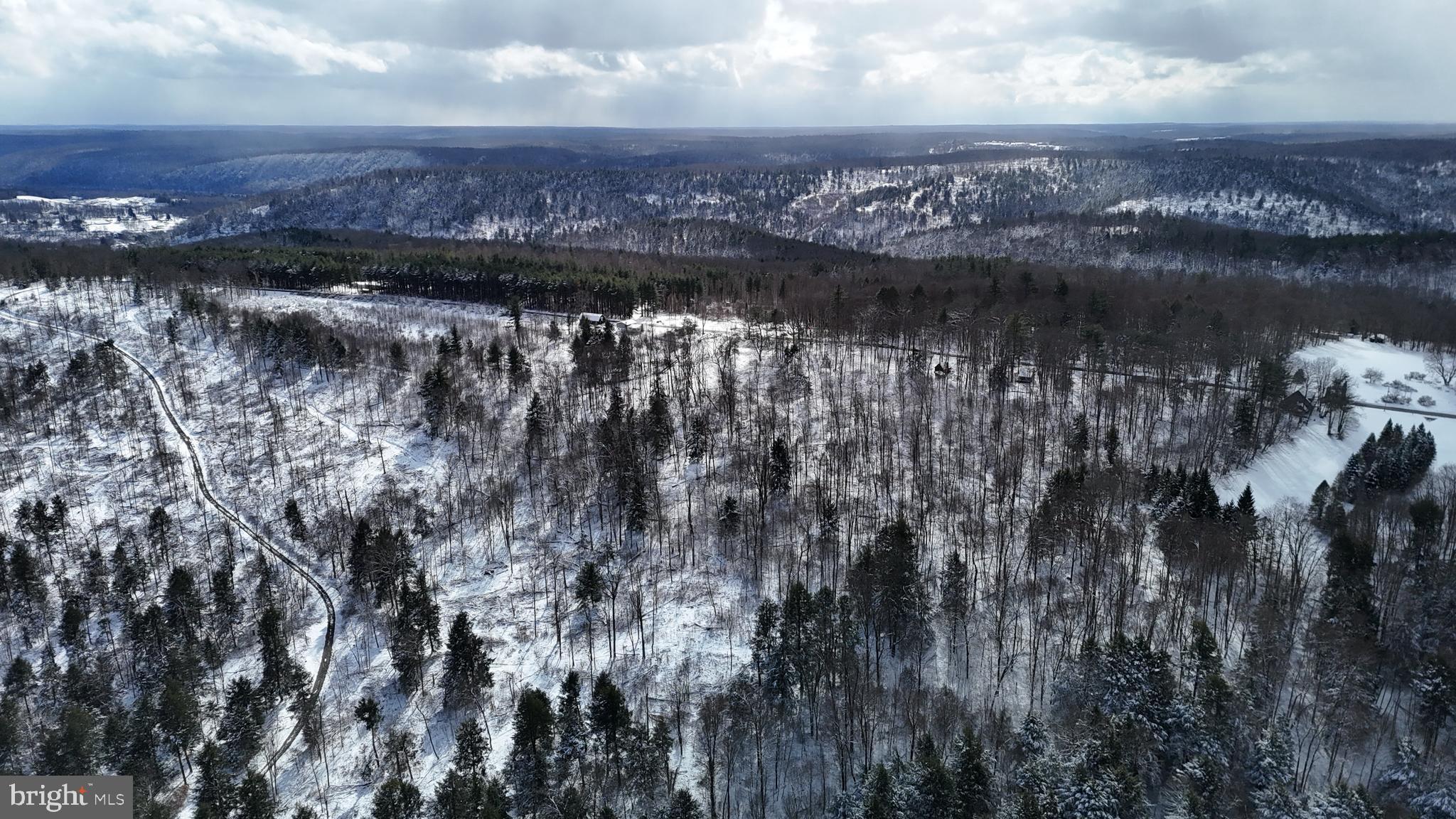 0 Morrison Hill Road Tidioute, PA 16351 - Photo 8 of 28