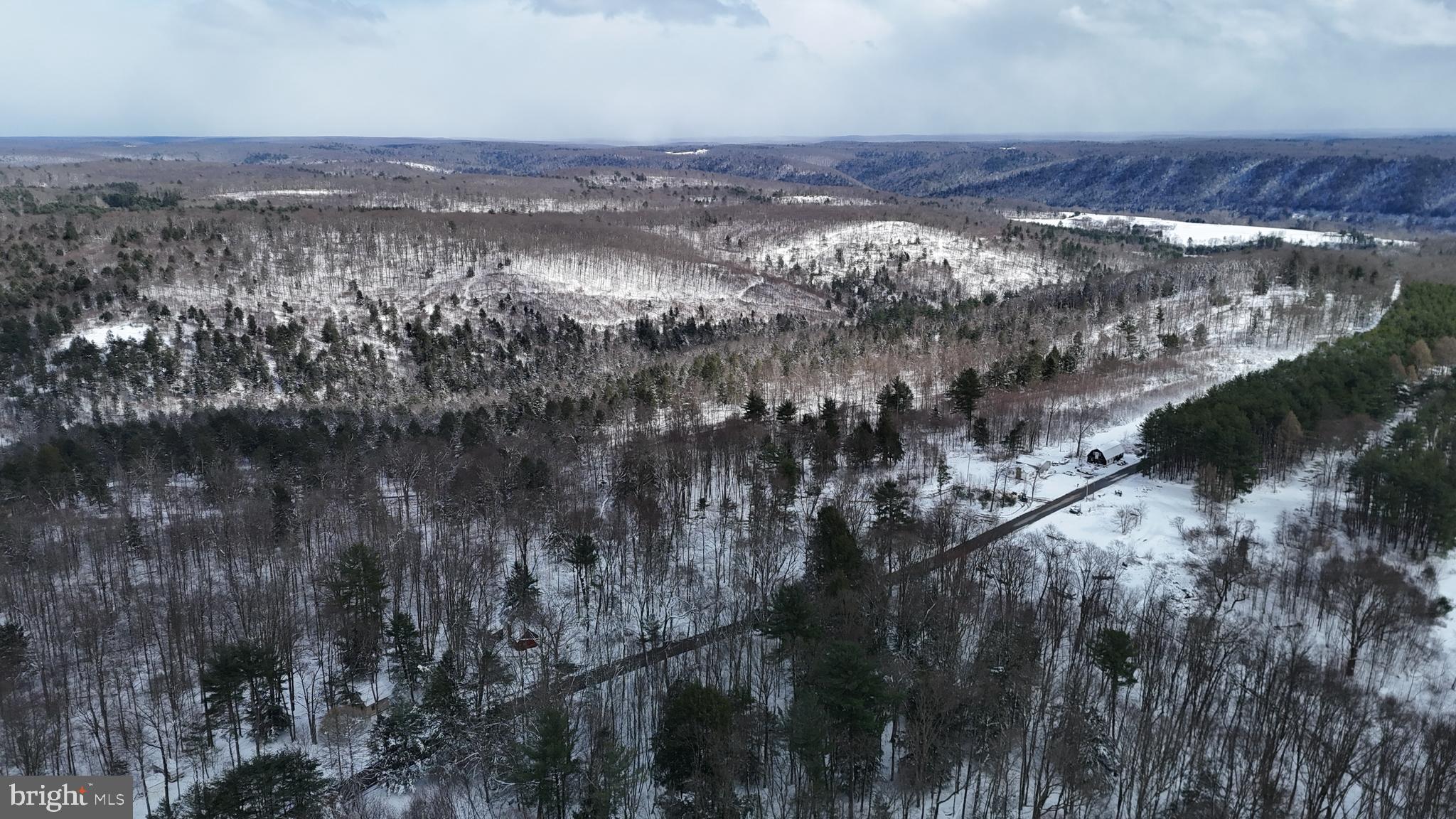 0 Morrison Hill Road Tidioute, PA 16351 - Photo 10 of 28